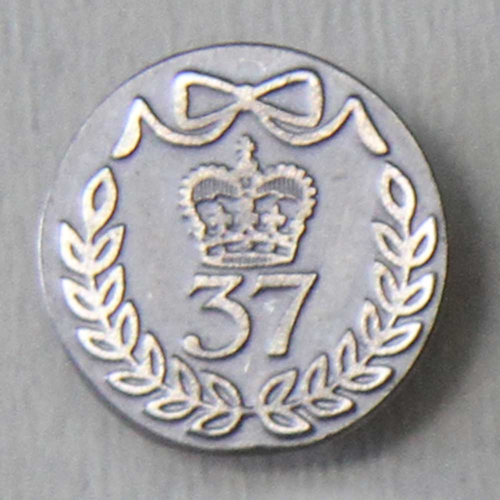 37th (North Hampshire) Regiment of Foot - Click Image to Close
