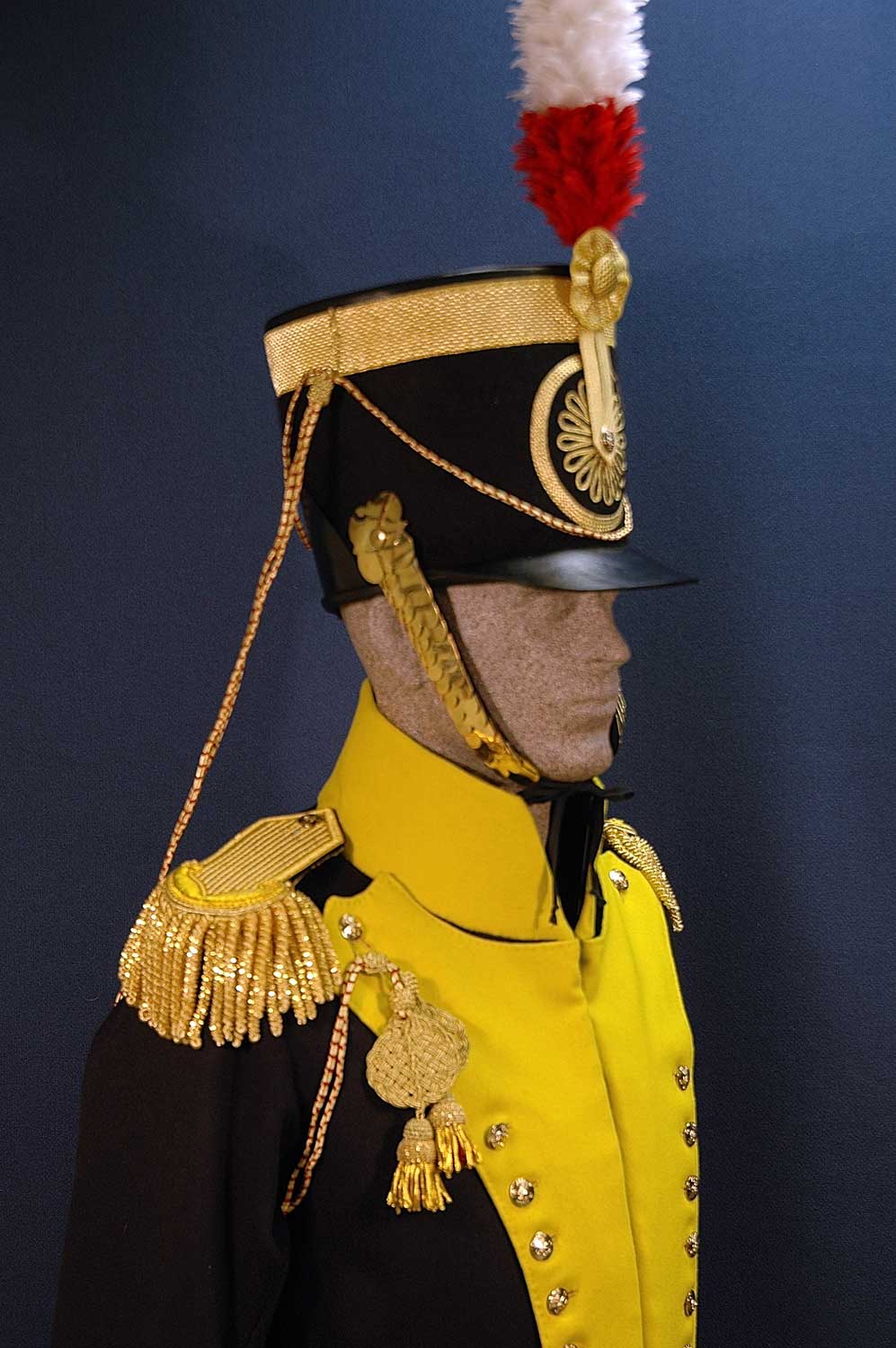 British, 19th Light Dragoon, Officer, 1814