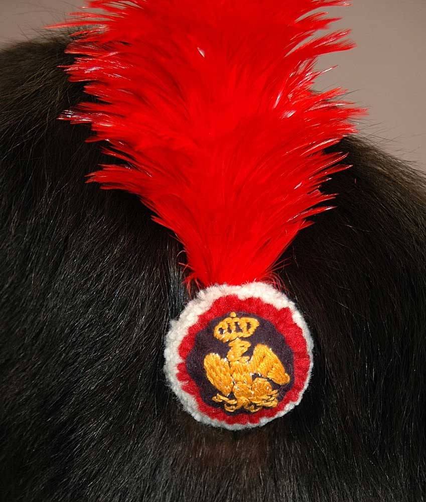 French, Imperial Guard Bonnet-a-Poil